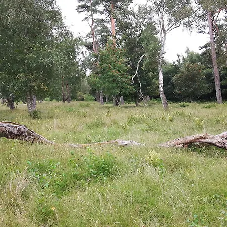 6 Person In Vaeggerlose * Bøtø By