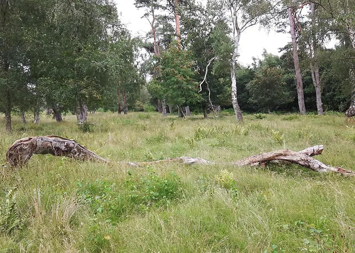 6 Person In Vaeggerlose * Bøtø By